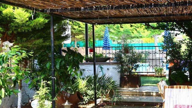 Guzelyali Hotel Ayvalı Extérieur photo
