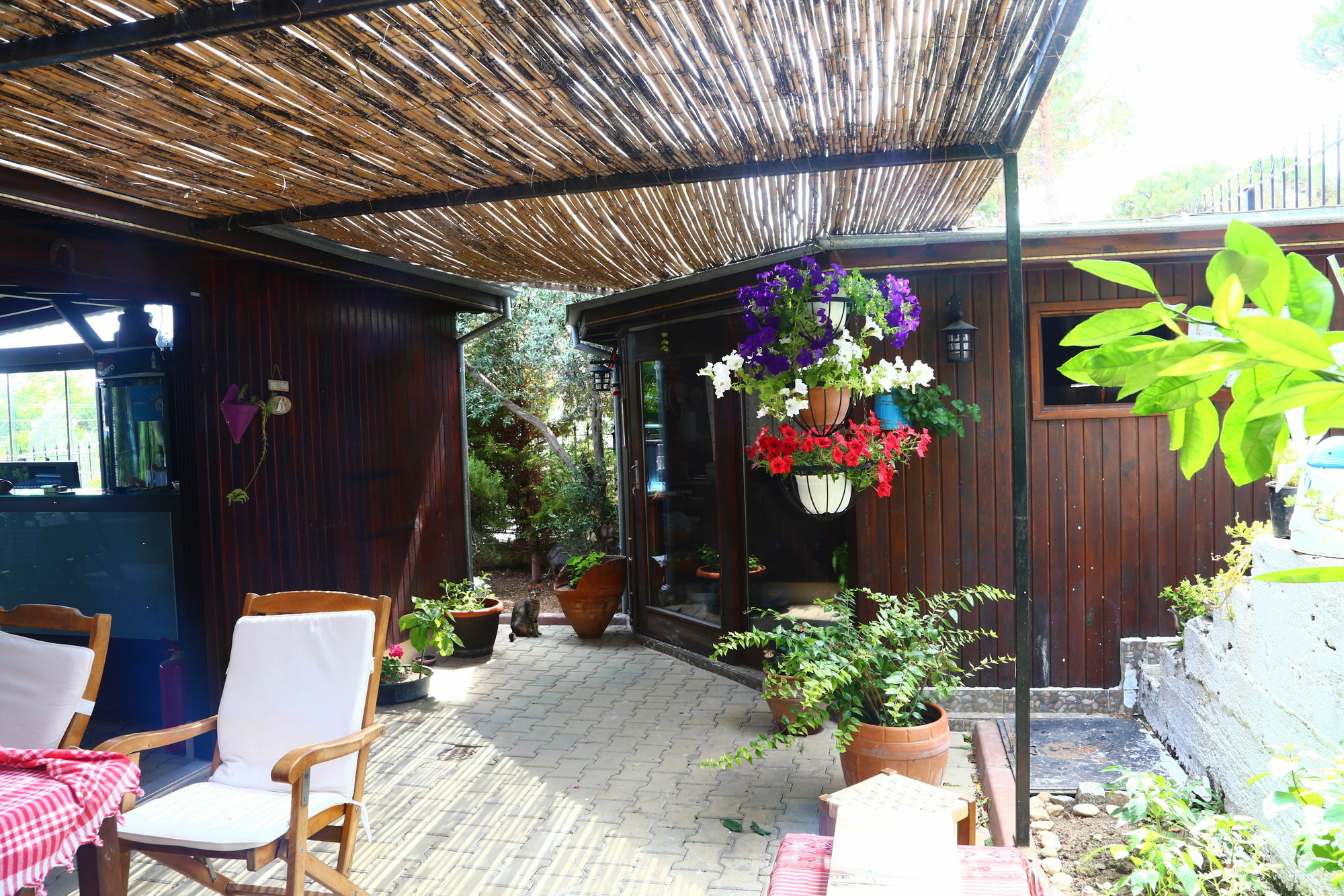 Guzelyali Hotel Ayvalı Extérieur photo