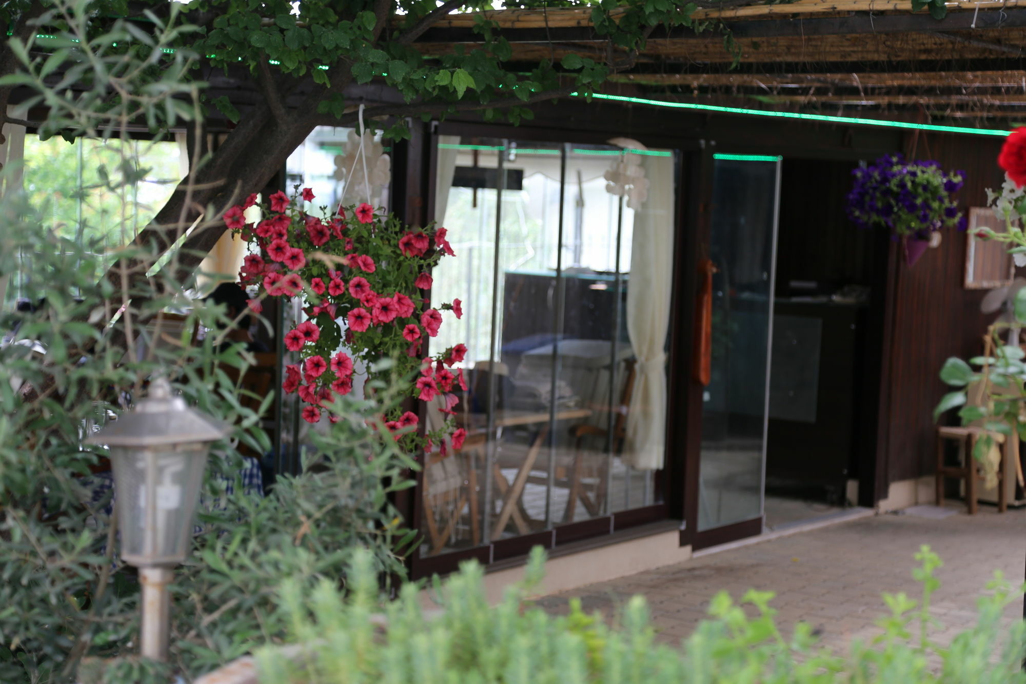 Guzelyali Hotel Ayvalı Extérieur photo