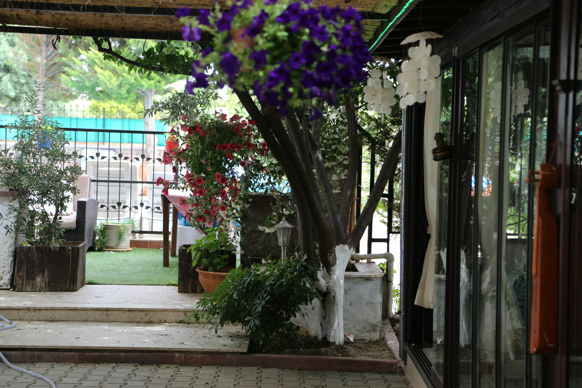 Guzelyali Hotel Ayvalı Extérieur photo